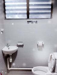 Blk 546 Bedok North Green (Bedok), HDB 3 Rooms #556826401
